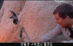 베어그릴스의 스컹크 맛 표현 - 인스티즈(instiz) 이슈 카테고리 베어그릴스의 스컹크 맛 표현