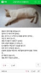 후원받은 사료를 먹은 고양이카페 고양이들이 죽었습니다 - 인스티즈(instiz) 이슈 카테고리