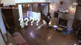 [효리네민박2] 노래의 늪에 빠져버린 윤아 - 인스티즈(instiz) 이슈 카테고리