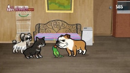 [동물농장] 1년 사이 12kg나 쪄버린 개의 비밀 (feat. 앵무새) - 인스티즈(instiz) 이슈 카테고리 [동물농장] 1년 사이 12kg나... 