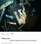 [미씽나인] 만약 열이가 살아있을 가능성을 생각해본다면.txt (feat.... 디씨 밌갤러) - 인스티즈(instiz) 이슈 카테고리 [미씽나인] 만약... 