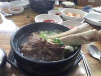 제주도 나홀로 여행객들을 위한 밥집(해장국 위주) - 인스티즈(instiz) 이슈 카테고리 제주도 나홀로 여행객들을 위한 밥집(해장국 위주)