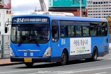 대구의 배차간격 짧은 버스번호.jpg - 인스티즈(instiz) 이슈 카테고리 대구의 배차간격 짧은 버스번호.jpg