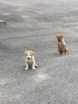 절미 언니 + 절미 오빠 - 인스티즈(instiz) 이슈 카테고리
