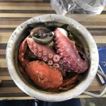 제주도 한달반 넘게있는 트랜스제주도민의 제주도종합추천후기 1탄(맛집,숙소) - 인스티즈(instiz) 인티포털 제주도 한달반 넘게있는... 