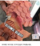 요즘 핫하다는 건대 고구마 붕어빵.jpg - 인스티즈(instiz) 이슈 카테고리