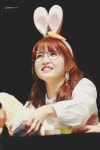 아이즈원)) 안경 히토미 단 두장 - 인스티즈(instiz) 이슈 카테고리