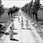 1950년대 수원의 모습 - 인스티즈(instiz) 이슈 카테고리