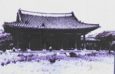 1950년대 수원의 모습 - 인스티즈(instiz) 이슈 카테고리