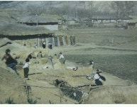 1960년대 이전의 수원 풍경.jpg - 인스티즈(instiz) 이슈 카테고리 1960년대 이전의 수원 풍경.jpg