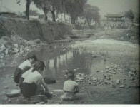 1960년대 이전의 수원 풍경.jpg - 인스티즈(instiz) 이슈 카테고리 1960년대 이전의 수원 풍경.jpg