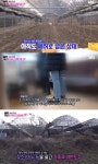 야반도주 하기전에 CCTV 다 끊어논 마닷 부모 - 인스티즈(instiz) 이슈 카테고리