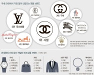 SNS에서 가장 많이 언급되는 명품 브랜드 - 인스티즈(instiz) 이슈 카테고리