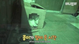 [동물농장] 심심한 댕댕이랑 놀아주는 동농 제작진ㅋㅋㅋ - 인스티즈... 이슈 카테고리 [동물농장] 심심한 댕댕이랑 놀아주는 동농 제작진ㅋㅋㅋ