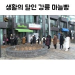 생활의 달인 강릉 마늘빵 - 인스티즈(instiz) 이슈 카테고리 생활의 달인 강릉 마늘빵