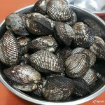 보통 꼬막보다 훨씬 큰 사이즈인 피꼬막...jpg - 인스티즈(instiz) 이슈 카테고리 보통 꼬막보다 훨씬 큰 사이즈인 피꼬막...jpg