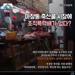 비건들이 마장동에서는 시위하지 않는 이유 - 인스티즈(instiz) 인티포털 카테고리 비건들이 마장동에서는 시위하지 않는 이유