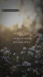그대의하루가영화처럼행복하면좋겠다 | 하루하루가 버거운 그대에게 전하고픈 이야기 - 인스티즈(instiz) 이슈 카테고리 하루하루가 버거운 그대에게 전하고픈 이야기