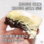 기존의 꾸덕한 브라우니에 치즈가 추가된 뚜레쥬르 신상 치즈 브라우니 - 인스티즈(instiz) 이슈 카테고리