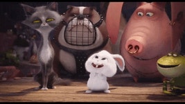 마이펫의 이중생활에서 핵귀여운 스노우볼.gif - 인스티즈(instiz) 이슈 카테고리 마이펫의 이중생활에서 핵귀여운 스노우볼.gif