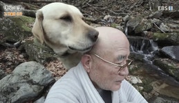 동물농장에서 땅치고 있을 한국기행 스님 머리 핥는 보리.gif - 인스티즈(instiz) 이슈 카테고리 동물농장에서 땅치고 있을 한국기행... 