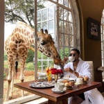 아침마다 기린이 습격하는 호텔.jpg - 인스티즈(instiz) 이슈 카테고리 아침마다 기린이 습격하는 호텔.jpg