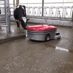 로봇 소똥청소기 - 인스티즈(instiz) 이슈 카테고리 로봇 소똥청소기