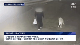 진돗개 목줄 놓치게 되는 상황... - 인스티즈(instiz) 이슈 카테고리