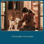 리틀포레스트 명대사 - 인스티즈(instiz) 이슈 카테고리 리틀포레스트 명대사