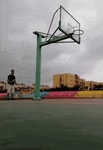 농구하러 왔다가 집에 못 감.gif - 인스티즈(instiz) 이슈 카테고리 농구하러 왔다가 집에 못 감.gif
