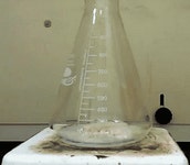 신기한 화학반응 - 인스티즈(instiz) 이슈 카테고리 신기한 화학반응