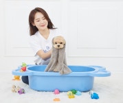강아지 목욕 시킬 때 지켜야 할 주의사항 - 인스티즈(instiz) 이슈 카테고리 강아지 목욕 시킬 때 지켜야 할 주의사항