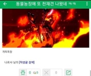 동물농장에 또 천재견 나왔네 ㅋㅋ - 인스티즈(instiz) 이슈 카테고리 동물농장에 또 천재견 나왔네 ㅋㅋ
