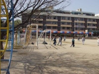 서울특별시 강남구 개포4동의 옛 모습.jpg - 인스티즈(instiz) 이슈 카테고리 서울특별시 강남구 개포4동의 옛 모습.jpg