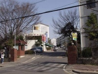 서울특별시 강남구 개포4동의 옛 모습.jpg - 인스티즈(instiz) 이슈 카테고리 서울특별시 강남구 개포4동의 옛 모습.jpg