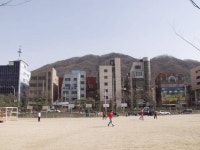 서울특별시 강남구 개포4동의 옛 모습.jpg - 인스티즈(instiz) 이슈 카테고리 서울특별시 강남구 개포4동의 옛 모습.jpg