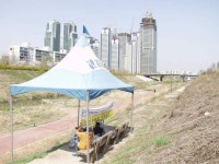 서울특별시 강남구 개포4동의 옛 모습.jpg - 인스티즈(instiz) 이슈 카테고리 서울특별시 강남구 개포4동의 옛 모습.jpg