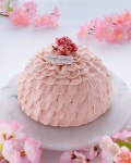 취미로 디저트를 만든다는 홈카페 인스타그램🍮🍨🍎 - 인스티즈(instiz) 이슈 카테고리 취미로 디저트를 만든다는 홈카페 인스타그램🍮🍨🍎