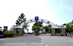 논산에서 가장 유명한 것은 무엇일까요?? - 인스티즈(instiz) 이슈 카테고리 논산에서 가장 유명한 것은 무엇일까요??