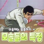 모솔들의 특징.insta - 인스티즈(instiz) 이슈 카테고리