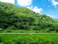 의외로 많은 사람들이 모르는 갤럭시 카메라 기능 - 인스티즈(instiz) 이슈 카테고리 의외로 많은 사람들이 모르는 갤럭시 카메라 기능