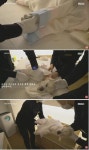 무지개 다리를 건넌다는 것 - 인스티즈(instiz) 이슈 카테고리 무지개 다리를 건넌다는 것