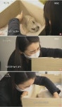 무지개 다리를 건넌다는 것 - 인스티즈(instiz) 이슈 카테고리