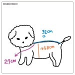 저희 언니가 강아지 요미 옷을 떠주겠다고 하더라구요 - 인스티즈(instiz) 이슈 카테고리