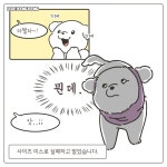 저희 언니가 강아지 요미 옷을 떠주겠다고 하더라구요 - 인스티즈(instiz) 이슈 카테고리