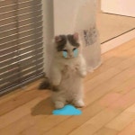 Mbti 적고 친구한테 왜 읽씹해?? 서운해ㅠ 라고 오면 뭐라고할건지 달글 - 인스티즈(instiz) 이슈 카테고리
