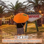제주도 가면 사올만한 기념품들 - 인스티즈(instiz) 이슈 카테고리 제주도 가면 사올만한 기념품들