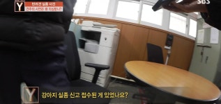 오늘 궁금한 이야기Y에 나온 검침원 강아지 유괴사건 어이없는 흐름과 결말.jpg - 인스티즈(instiz) 이슈 카테고리 오늘 궁금한 이야기Y에... 