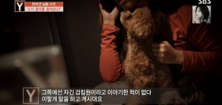 오늘 궁금한 이야기Y에 나온 검침원 강아지 유괴사건 어이없는 흐름과 결말.jpg - 인스티즈(instiz) 이슈 카테고리 오늘 궁금한 이야기Y에... 