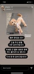 가스검침원 실종 강아지 찾았다고 함!! (추가 가스검침원이 데려간게... 실종 강아지 찾았다고 함!! (추가 가스검침원이 데려간게 아니라함)